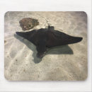 Suche nach stingray mousepads Strahl