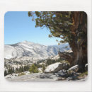 Suche nach alter baum mousepads Fotografie