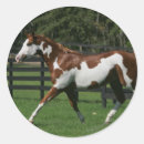 Suche nach paint horse aufkleber Foto