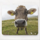 Suche nach tierköpfe mousepads Vorderansicht