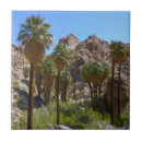 Suche nach joshua fliesen Kalifornien