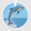 Suche nach orca schmuck Ozean