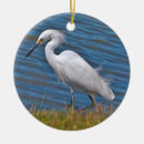 Suche nach reiher ornamente Vögel