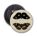 Recherche de insecte ouvre bouteilles Papillon