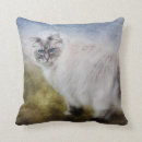 Suche nach ragdoll kissen Haustier