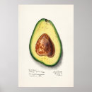 Recherche de avocats posters Vintage