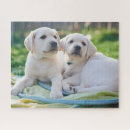 Recherche de labrador retriever puzzles Cute