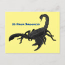 Recherche de scorpions cartes postales Puant