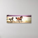 Suche nach wildes pferd leinwandbilder Feld