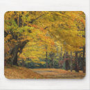 Suche nach ahornbaum mousepads Niemand