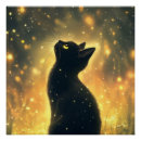 Recherche de lucioles posters Chat noir