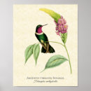 Suche nach amethyst poster Blumenreich