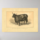 Recherche de ferme vintage posters Vache