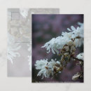 Suche nach magnolie postkarten Weiß