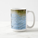 Recherche de canards sauvages tasses Oiseaux