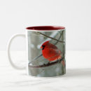 Recherche de googles tasses Animal
