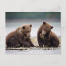 Suche nach babytiere postkarten Junge