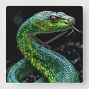 Recherche de python horloges Vert