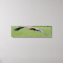 Suche nach vogelliebhaber leinwandbilder Vogelkunst