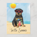 Recherche de rottweilers cartes postales Vacances