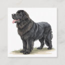 Recherche de terre neuve invitations Animal de compagnie