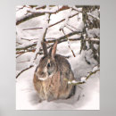 Recherche de coton art Animal