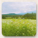 Suche nach friedlich untersetzer Sommer