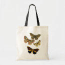 Recherche de mite accessoires Papillon