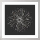 Recherche de pétale posters Noir