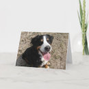 Suche nach bernese mountain dog karten Bierbrauer