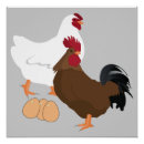 Recherche de poulet de coq posters Pour tous
