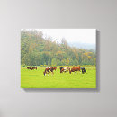 Recherche de bovin art Ranch