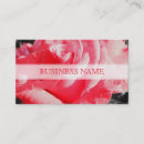 Recherche de rose rouge romantique cartes visite Fleur