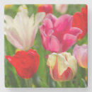 Recherche de assortiment dessous de verres Coloré