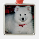 Suche nach samoyed ornamente Verzierung