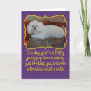 Recherche de caniche blanc vœux cartes Humour