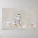 Recherche de tuyauterie posters Animal