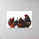 Recherche de de poulet photographie Coq