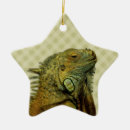 Suche nach grüner drache ornamente Reptil