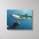 Suche nach tauchen an poster leinwandbilder Meer