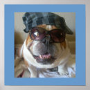 Suche nach english bulldog poster Lustig