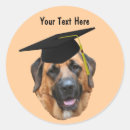 Recherche de funny animals autocollants Pour tous