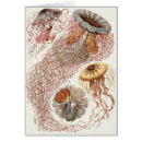 Recherche de histoire naturelle Biologie