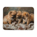 Suche nach vintage spitze magnete Retro