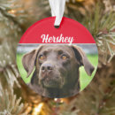 Suche nach labe ornamente Dogs