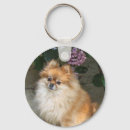 Recherche de chien porteclés Été