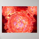 Suche nach epidemiologie poster 3d