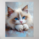 Suche nach ragdoll katze poster Langhaarkatze