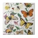 Suche nach vintage insekten fliesen Blume
