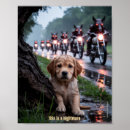 Suche nach gefährliche tiere poster Gefährliches tier